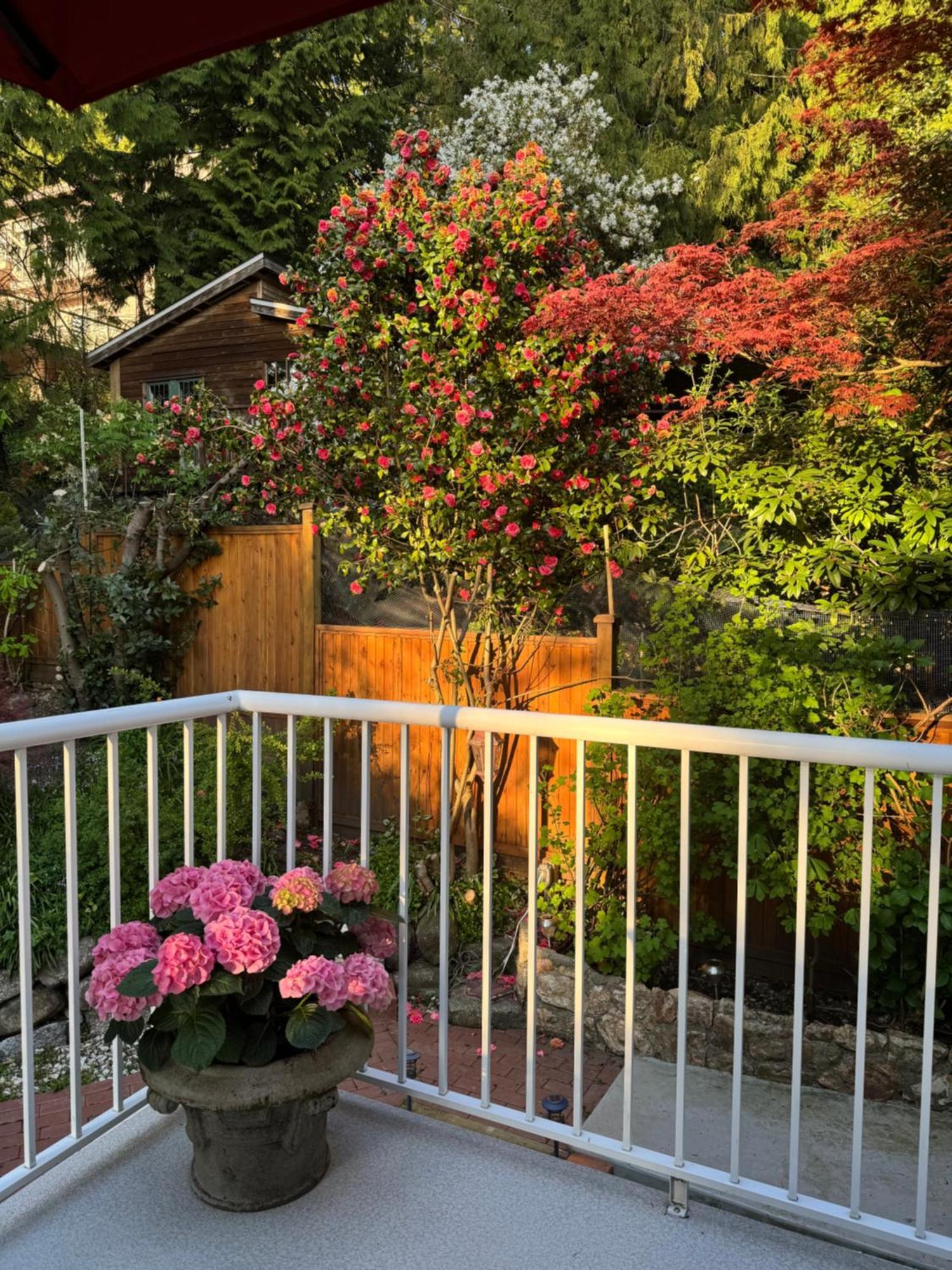 נורת וונקובר Beautiful Modern Suite מראה חיצוני תמונה